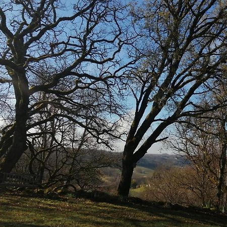 Gite Le Pigonnier Ecogite Le Luquet Saint Beauzeil 82150 ภายนอก รูปภาพ