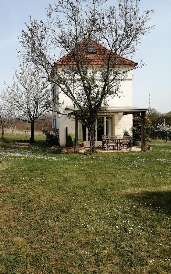 Gite Le Pigonnier Ecogite Le Luquet Saint Beauzeil 82150 ภายนอก รูปภาพ
