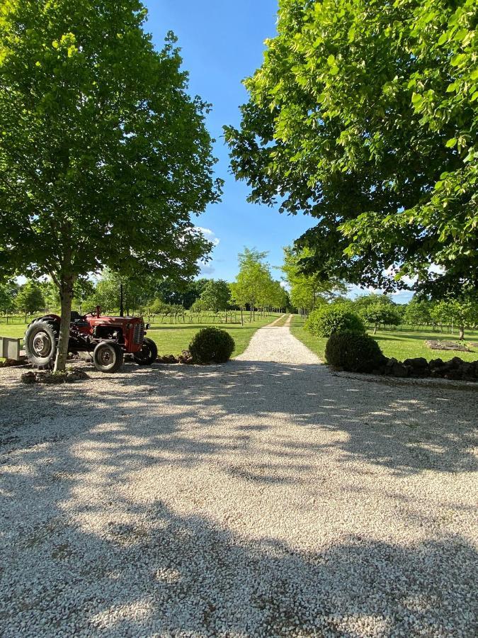 Gite Le Pigonnier Ecogite Le Luquet Saint Beauzeil 82150 ภายนอก รูปภาพ